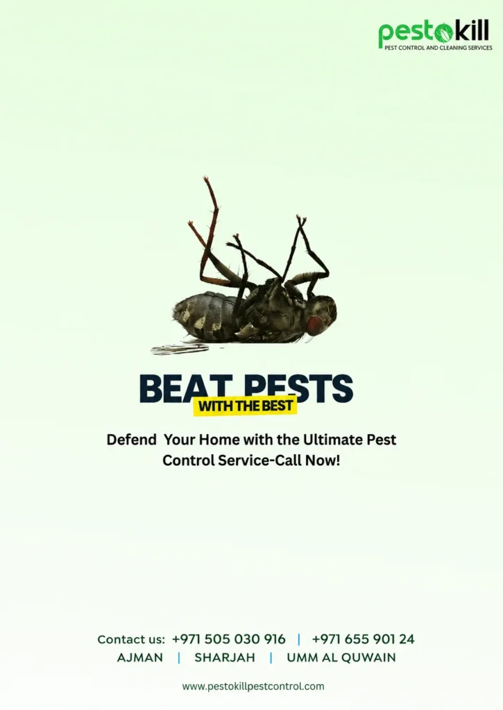 poster done for pestokill by best digital marketing analyst in sharjah